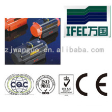 Pneumatic Actuator for Industrial Valves (IFEC-PA100012)